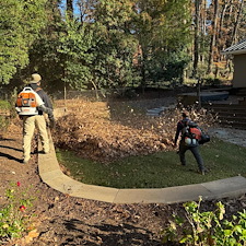 Sod Repair in Durham, NC 4